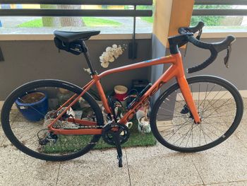 Brugt Orbea AVANT H40 2024 2024 Road & Gravel — billede 3 af 6