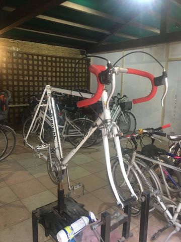 Used Bianchi Eroica Other Campagnolo 1979 Road & Gravel, White — image 5 of 5