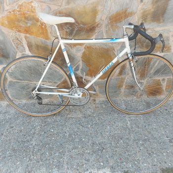 Used Orbea Custom Other 1980 Road & Gravel