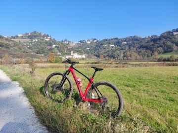 Used Trek Procaliber 9.5 2024 2024 Mountainbike, Red, 29 — image 1 of 11