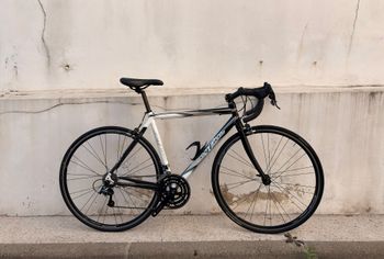 Used Cyfac Custom Campagnolo Xenon 2005 Road & Gravel