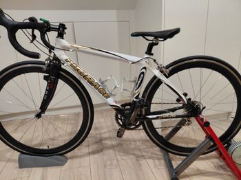Used ProRace 2012 Road & Gravel