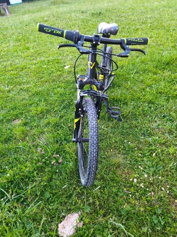 Brugt Conway MS 200 suspension 2023 2023 Youth — billede 2 af 15