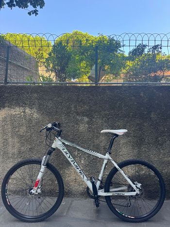 Used Olympia Custom Shimano Deore XT Di2 2010 MTB