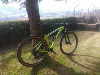 Brugt Trek Procaliber 9.7 SL 2017 2017 Mountainbike — billede 2 af 5