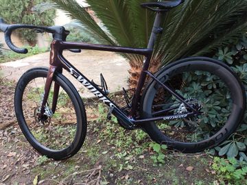 Gebrauchtes Specialized S-Works Tarmac SL8 - SRAM RED AXS 2026 2026 Road & Gravel