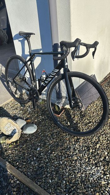Brugt Canyon Endurace CF 7 Di2 G.34 2026 2026 Road & Gravel