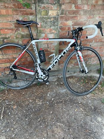 Gebrauchtes Focus IZALCO MAX Ultegra 2018 2018 Road & Gravel