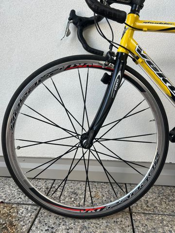 vektor Shudder 2009 Road & Gravel d'occasion — image 4 sur 6