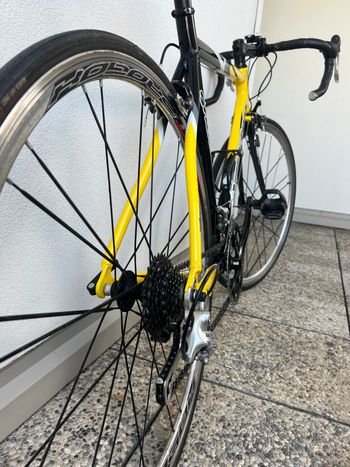 Brugt vektor Shudder 2009 Road & Gravel — billede 3 af 6