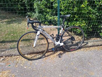 Gebrauchtes Wilier Cento1 Campagnolo Super Record 2014 Road & Gravel, Weiß — Bild 2 von 9