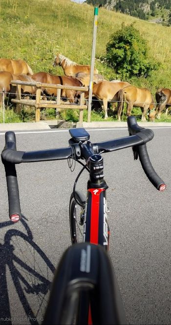 Brugt Specialized Venge Pro Race Force 2014 2014 Road & Gravel — billede 3 af 8