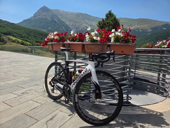 Brugt Pinarello Dogma SRAM Force 2024 Road & Gravel — billede 4 af 4