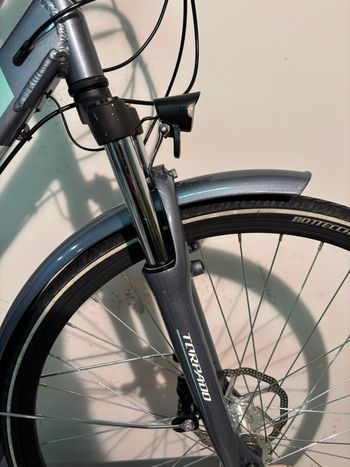Torpado Iris T-240 2022 Urban usato, Grigio chiaro — immagine 2 di 10