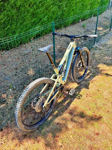 Used Canyon Neuron:ONfly CF 8 2024 2024 Mountainbike, Green, 29 — image 2 of 7