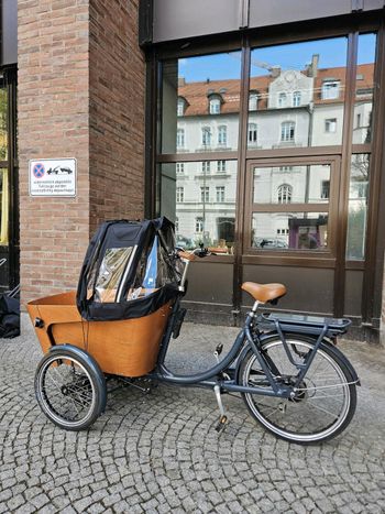 Babboe Flow-E 2023 Urban usato, Grigio chiaro — immagine 14 di 16