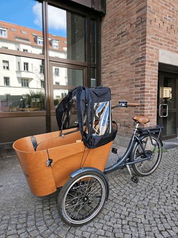 Babboe Flow-E 2023 Urban usato, Grigio chiaro — immagine 9 di 16