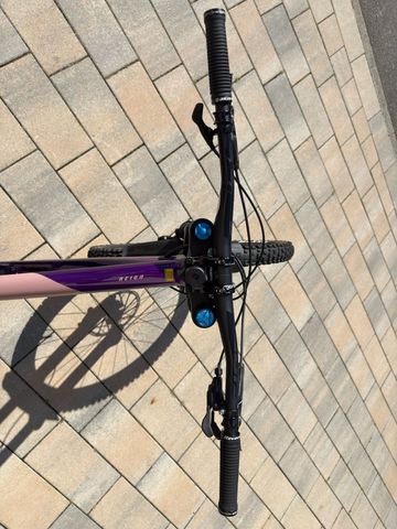 Tweedehands Giant Reign SX 2023 2023 Mountainbike — afbeelding 5 van 7
