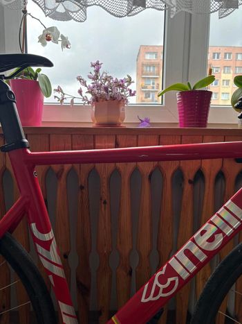 Używany Cinelli Custom Frameset 2020 Road & Gravel — zdjęcie 4 z 10