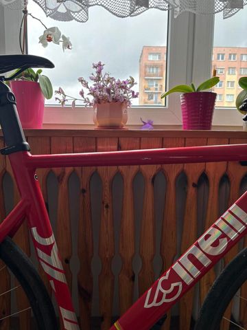 Käytetty Cinelli Custom Frameset 2020 Road & Gravel — kuva 4 / 10