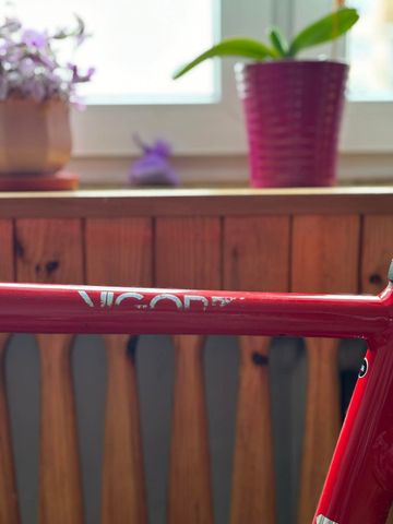 Käytetty Cinelli Custom Frameset 2020 Road & Gravel — kuva 3 / 10