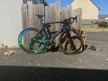 Used Elves Falath Frameset 2025 Road & Gravel