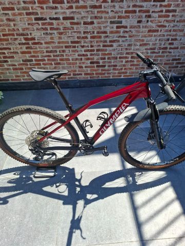 Brugt Olympia Iron Pro 2022 2022 Mountainbike — billede 10 af 14