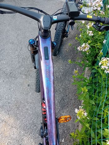 Brugt Giant Trance X Advanced E+ EL 0 2023 2023 Mountainbike — billede 6 af 9