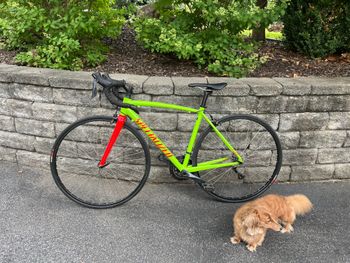 Used Specialized Allez Sport 2020 2020 Road & Gravel