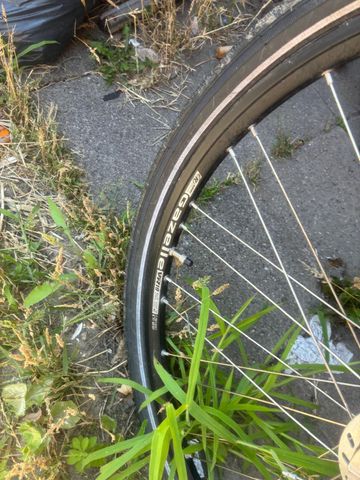 Used Gazelle Custom Urban, Light Gray — image 6 of 7