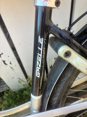 Used Gazelle Custom Urban, Light Gray — image 4 of 7