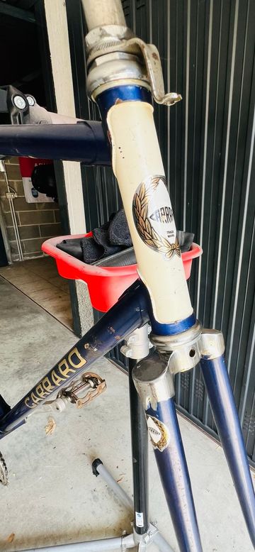 Used Carraro Custom Other Campagnolo 1970 Road & Gravel, Blue — image 3 of 4