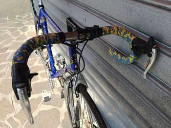 Colnago Master Campagnolo Record 1996 Road & Gravel usato, Viola — immagine 3 di 6