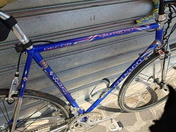 Colnago Master Campagnolo Record 1996 Road & Gravel usato, Viola — immagine 2 di 6
