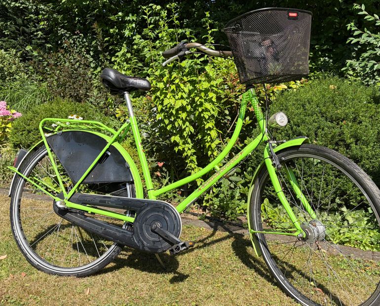 Brugt godewind Hollandrad 2013 Road & Gravel — billede 2 af 3