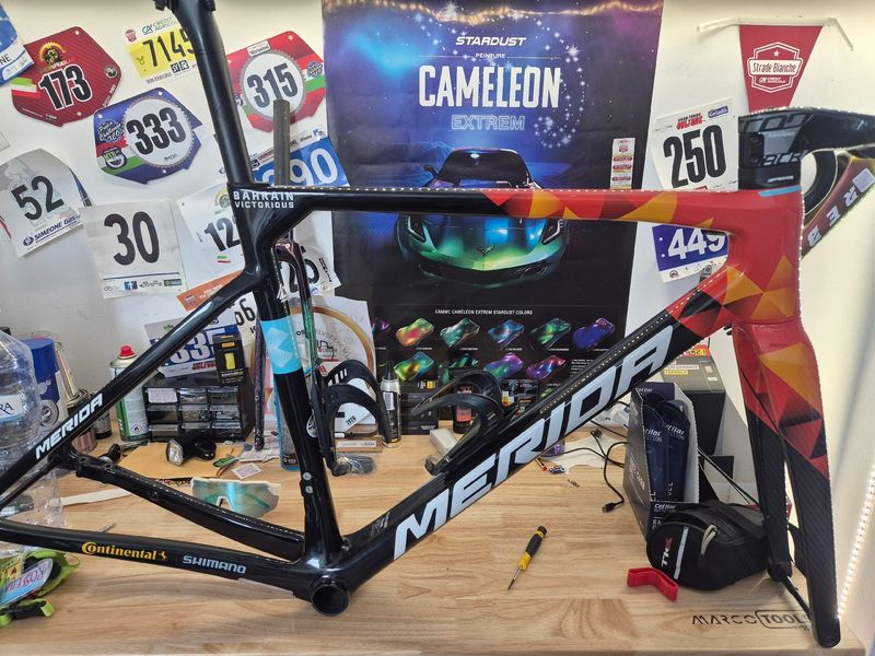 Tweedehands Merida SCULTURA TEAM 2023 Frameset 2023 Road & Gravel