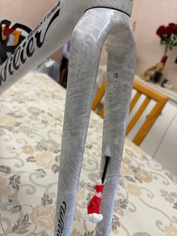 Used Wilier Filante Frameset 2026 Road & Gravel, White — image 4 of 12