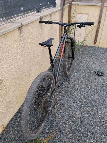 Brugt Marin El Roy 2021 2021 Mountainbike — billede 3 af 3