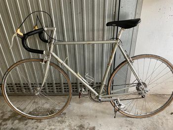 Gebrauchtes Wilier Vintage 1978 Road & Gravel