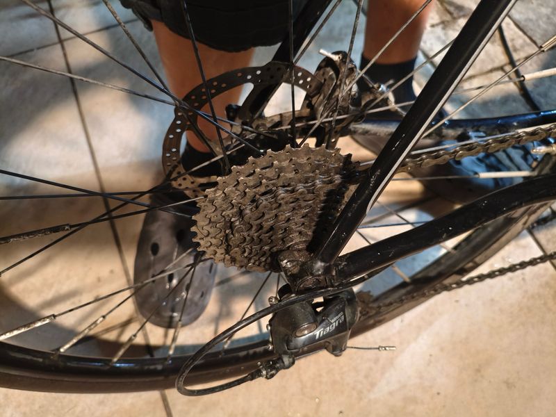 Używany Cannondale Synapse Neo 3 2019 Road & Gravel — zdjęcie 7 z 7