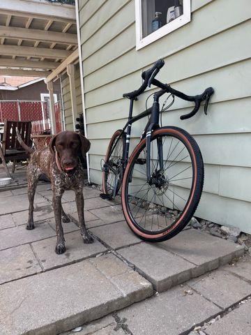 Used Trek Checkpoint AL 4 2019 2019 Road & Gravel, Black — image 4 of 4