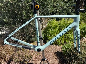 Used Niner Rlt Frameset 2022 Road & Gravel