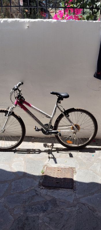 Used Reef Custom 2008 Kids & Youth