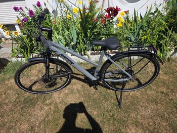 Gebrauchtes Radon SOLUTION COMFORT 5.0 Lady 2024 2024 Urban & Touring