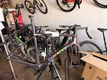 Used Giant TCR Advanced SL 0 Red 2025 Frameset 2025 Road & Gravel