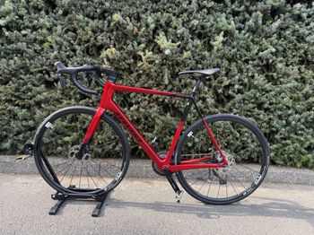 Brugt Stevens Izoard Pro Disc Di2 2023 2023 Road & Gravel — billede 2 af 23