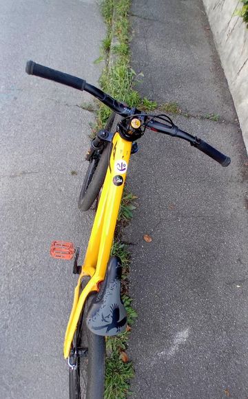 Gebrauchtes YT Industries Dirt Love Other 2026 Mountainbike, Orange — Bild 4 von 8