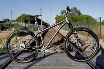 Lynskey LIVE WIRE Rohloff SPEEDHUB 500/14 2023 2023 MTB d'occasion