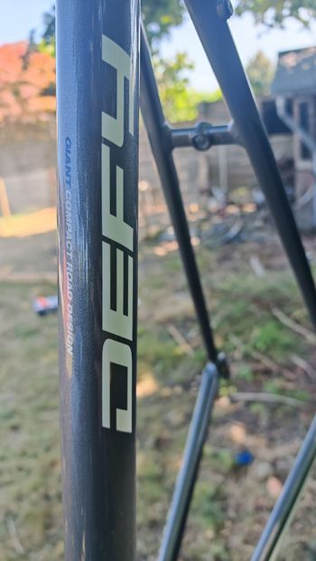 Gebrauchtes Giant Defy Frameset 2017 Road & Gravel, Hellgrau — Bild 13 von 14