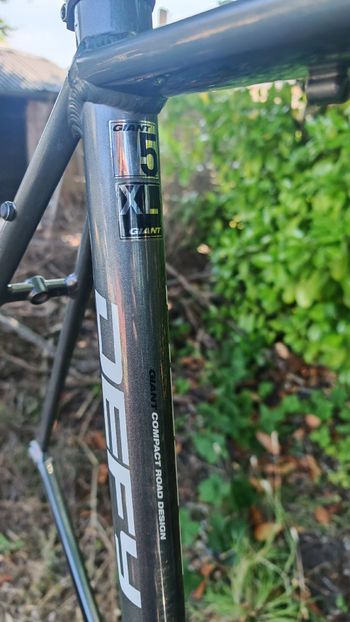 Gebrauchtes Giant Defy Frameset 2017 Road & Gravel, Hellgrau — Bild 5 von 14